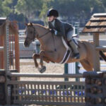 Coventry Farms